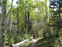 Trail from Cyphers Mine to Hunting Lodge